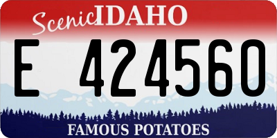 ID license plate E424560