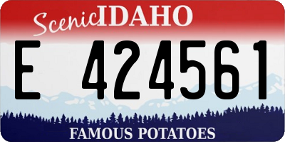 ID license plate E424561