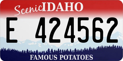 ID license plate E424562