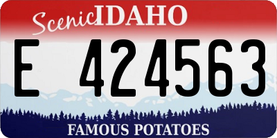 ID license plate E424563