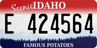 ID license plate E424564