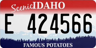 ID license plate E424566