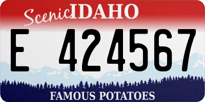 ID license plate E424567