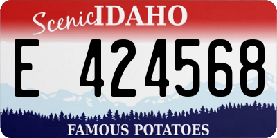 ID license plate E424568
