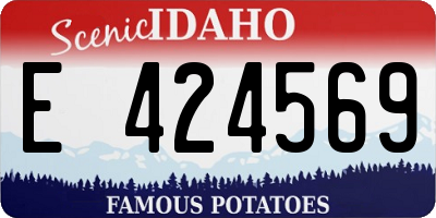 ID license plate E424569