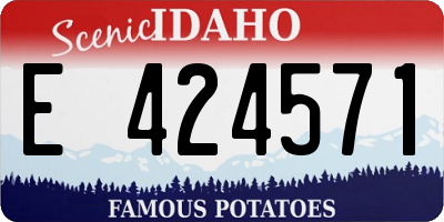 ID license plate E424571