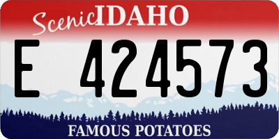 ID license plate E424573