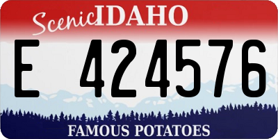 ID license plate E424576