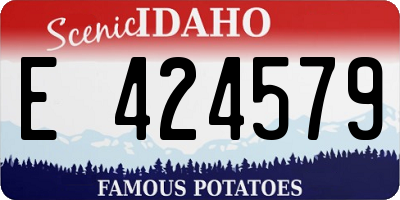 ID license plate E424579