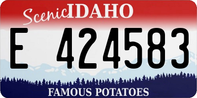 ID license plate E424583
