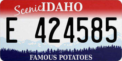 ID license plate E424585