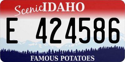 ID license plate E424586