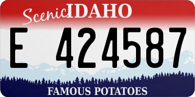ID license plate E424587
