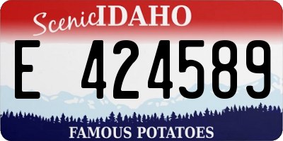 ID license plate E424589