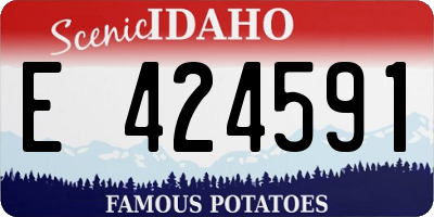 ID license plate E424591