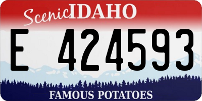 ID license plate E424593