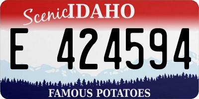 ID license plate E424594