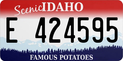 ID license plate E424595