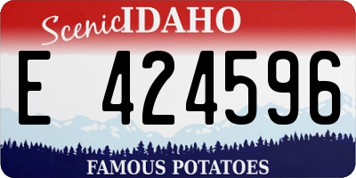 ID license plate E424596