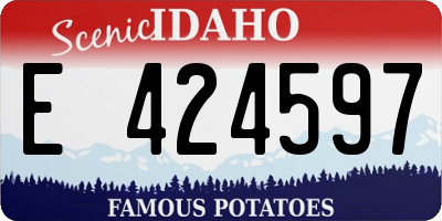 ID license plate E424597