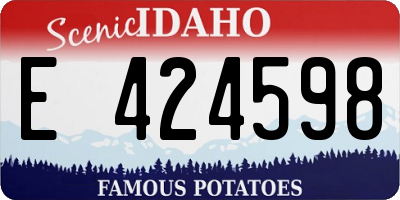 ID license plate E424598