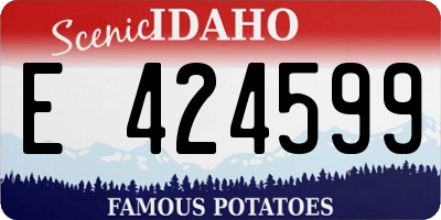 ID license plate E424599
