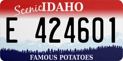 ID license plate E424601