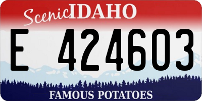 ID license plate E424603