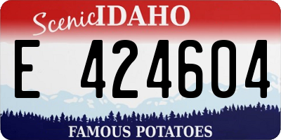 ID license plate E424604