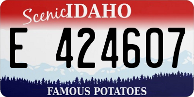 ID license plate E424607