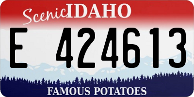 ID license plate E424613