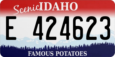 ID license plate E424623