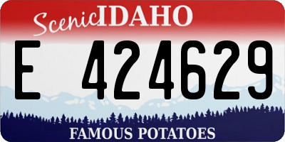 ID license plate E424629