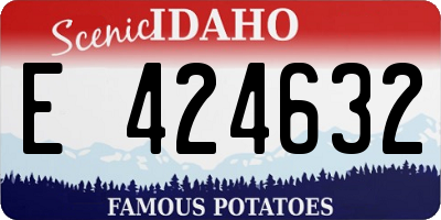ID license plate E424632