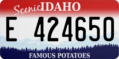 ID license plate E424650