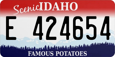 ID license plate E424654