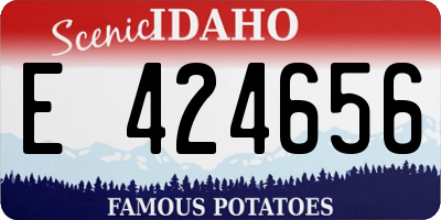 ID license plate E424656