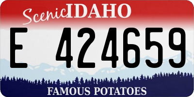 ID license plate E424659