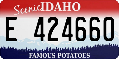ID license plate E424660