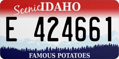 ID license plate E424661