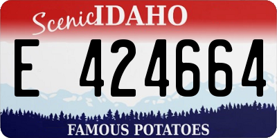 ID license plate E424664