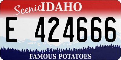 ID license plate E424666
