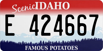 ID license plate E424667