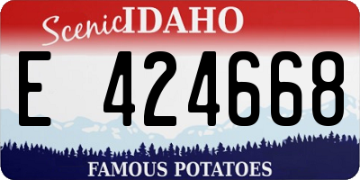 ID license plate E424668