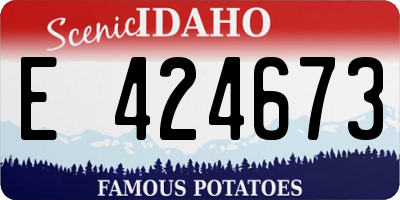 ID license plate E424673