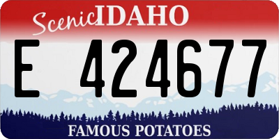 ID license plate E424677