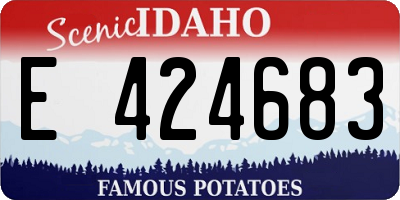 ID license plate E424683