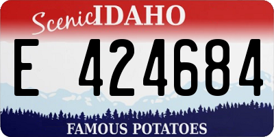 ID license plate E424684