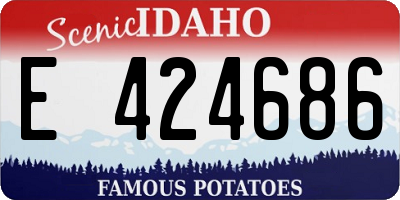 ID license plate E424686