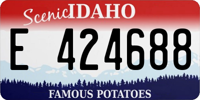 ID license plate E424688